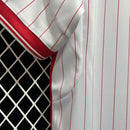 CAMISOLA BENFICA EDIÇÃO ESPECIAL II 24/25 homem