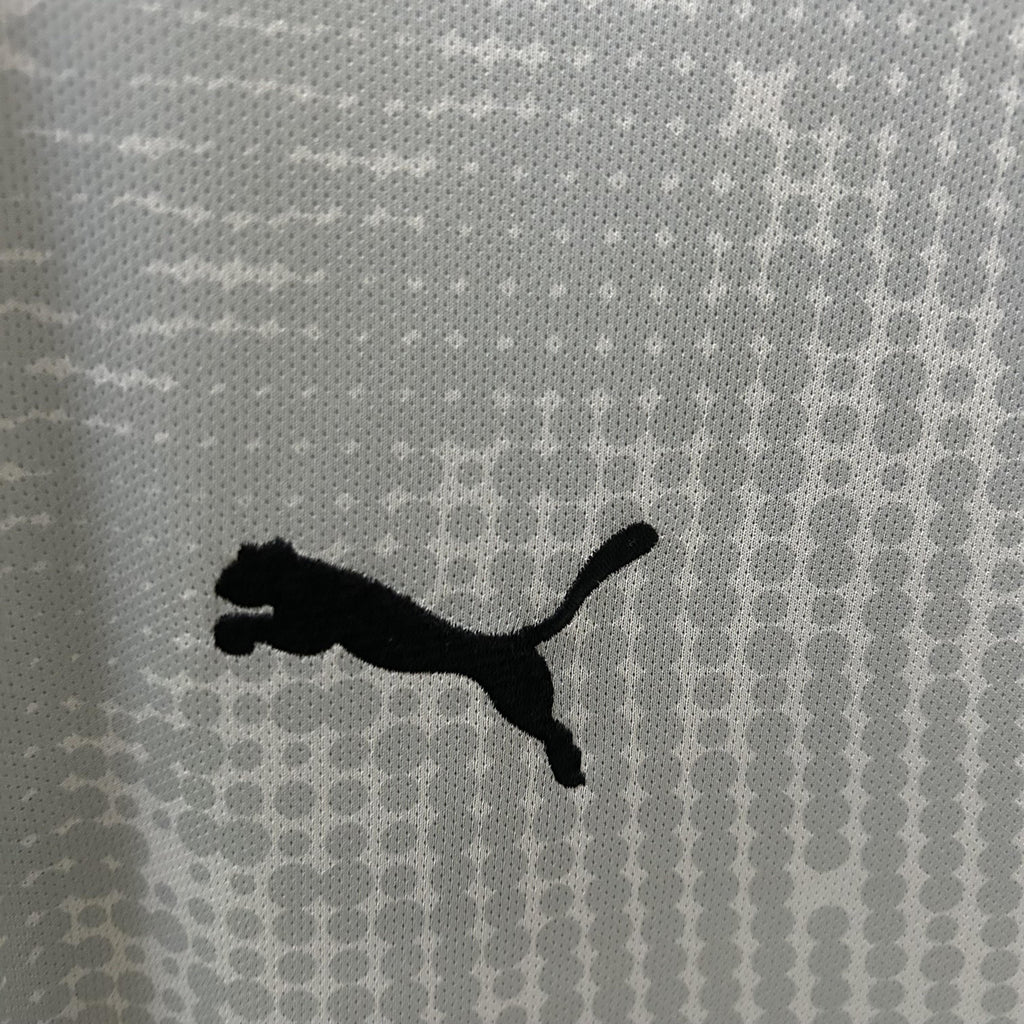 CAMISOLA PORTUGAL GUARDA REDES PUMA 25/26 homem - CINZA
