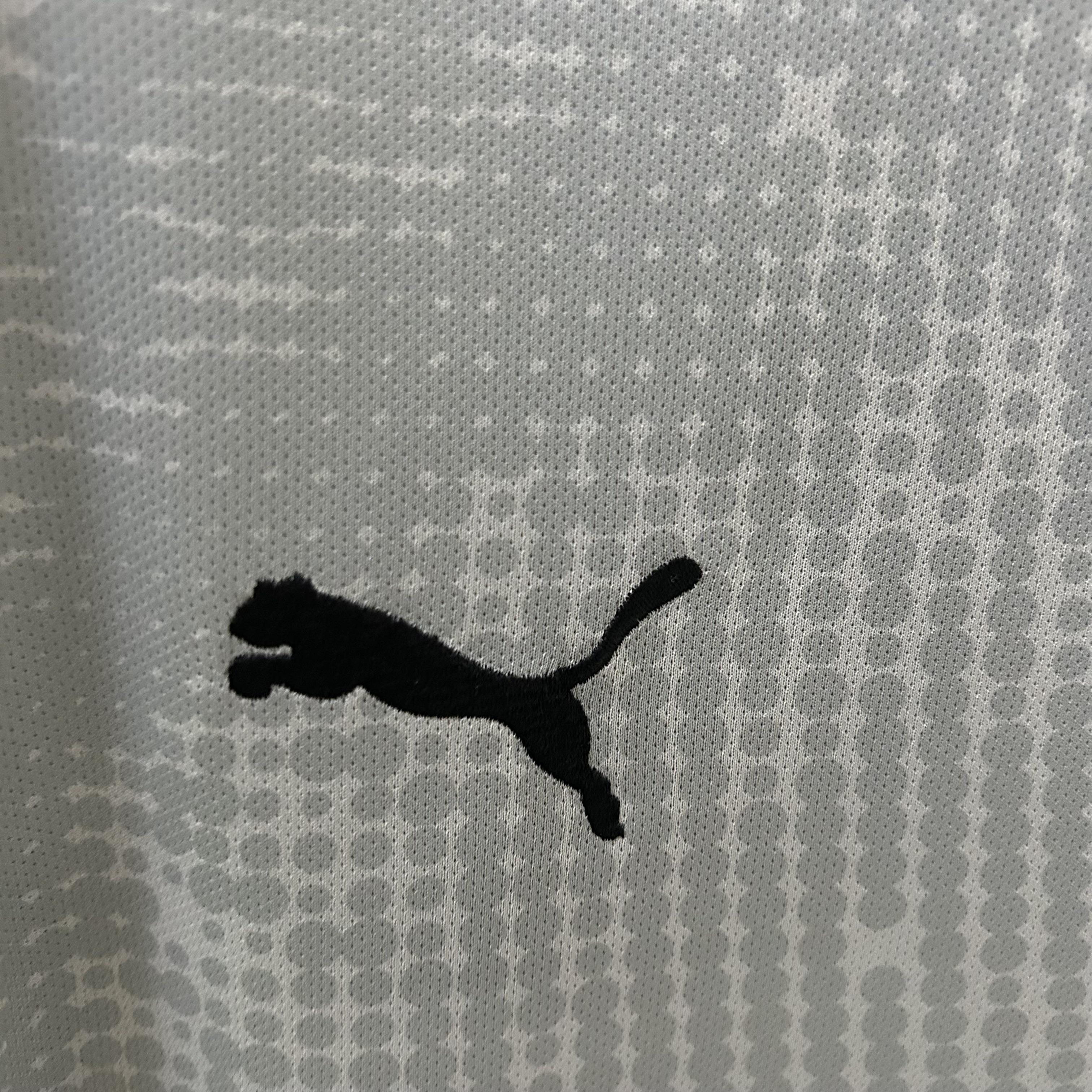 CAMISOLA PORTUGAL GUARDA REDES PUMA 25/26 homem - CINZA