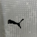 CAMISOLA PORTUGAL GUARDA REDES PUMA 25/26 homem - CINZA