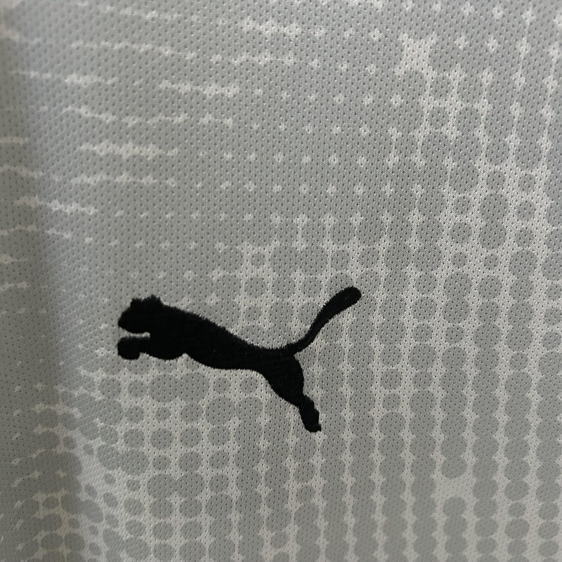 CAMISOLA PORTUGAL GUARDA REDES PUMA 25/26 homem - CINZA