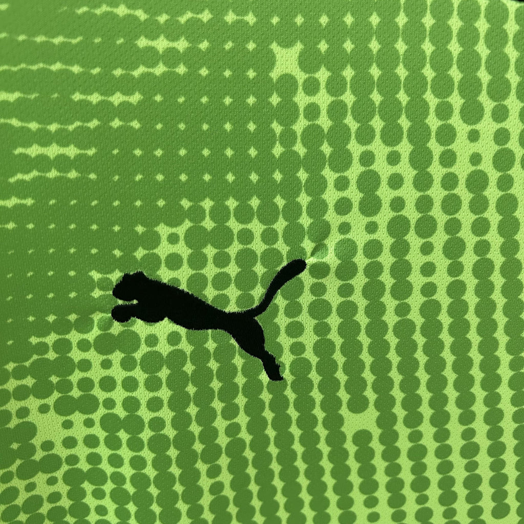 CAMISOLA PORTUGAL GUARDA REDES PUMA 25/26 homem - VERDE