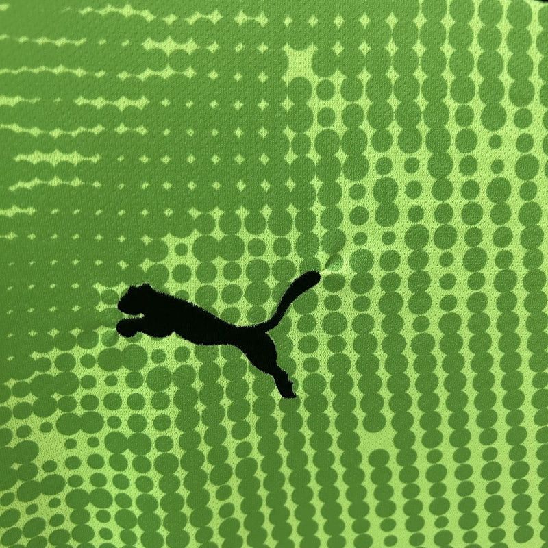 CAMISOLA PORTUGAL GUARDA REDES PUMA 25/26 homem - VERDE