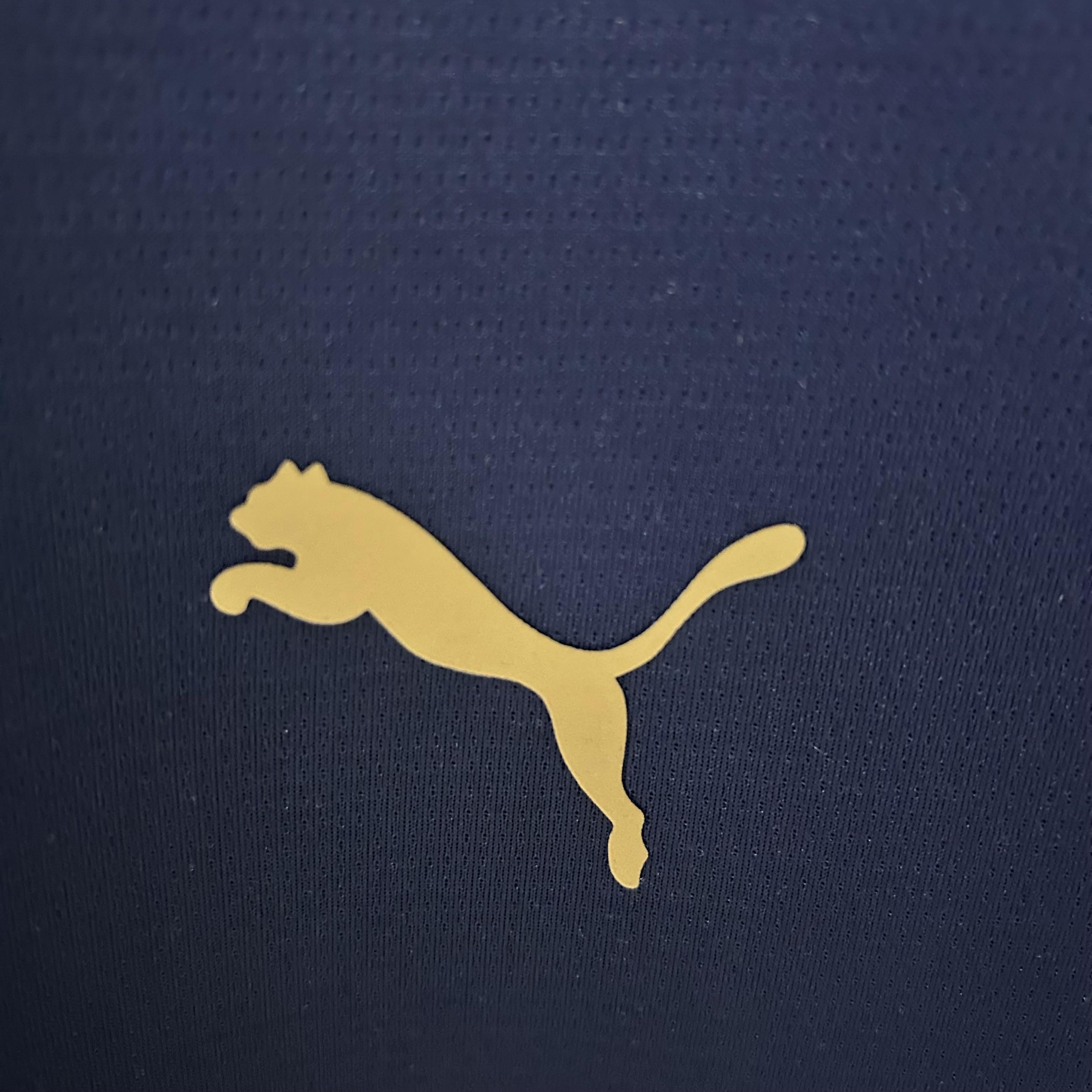 Camisola Portugal Treino 25/26 Azul – Equipamento de Treino Puma